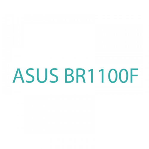 BR1100F